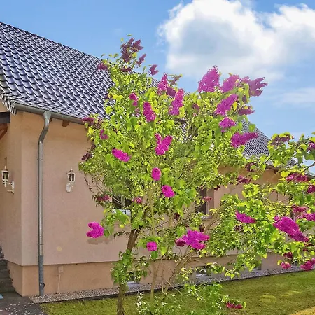 Ferienwohnung Torgelow *
