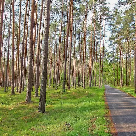Apartment Ferienwohnung Torgelow